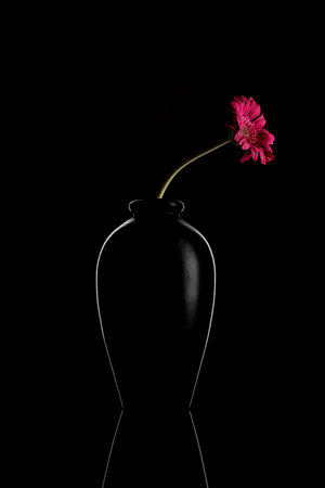 Abstract Black Flower Vase on Black Backgroundの写真素材