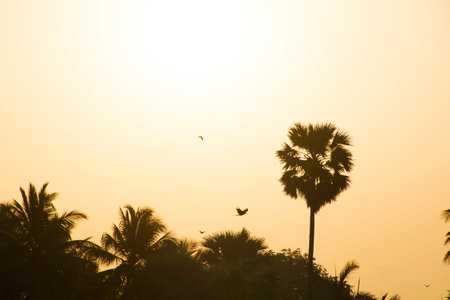 Sunrise on a summer morning at Aksa beachの写真素材