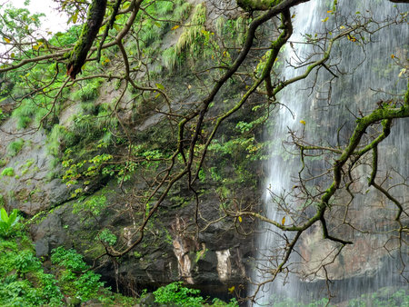 View of a waterfall from behind the trees near Khandi village in Pune