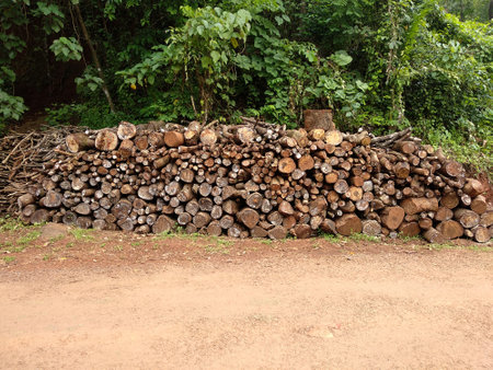 Pile of mixed sized wood logs used for domestic purposes and industry in rural Indiaの写真素材