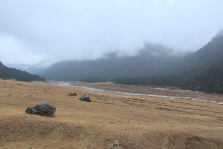 Panoramic landscape view of beautiful Yumthang valley or Sikkim Valley of Flowers sanctuary with snowfall on a hazy winter day. It is a popular tourist attraction in North Sikkim, Sikkim, Indiaの写真素材