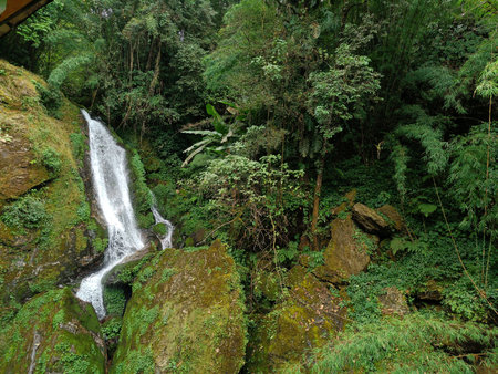Panoramic landscape view of Butterfly Waterfalls or Seven Sister Waterfalls that changes direction seven times. Surrounded by lush forest, it is a famous tourist place near Gangtok in Sikkim, Indiaの写真素材