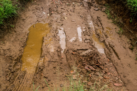 Mud road after rain with rippleの写真素材