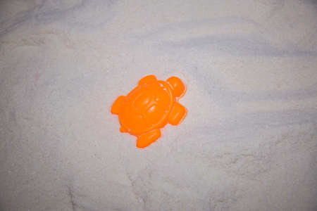 Yellow sand form in turtle shape on a sunny dayの写真素材