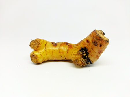 Ginger root isolated on a white background. Close-up.の写真素材