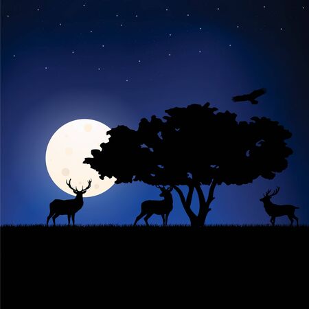 A Heard Of Deer in The Nightのイラスト素材