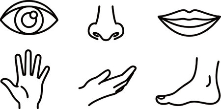 Hand drawn doodle vector illustration of human body parts and eyesのイラスト素材