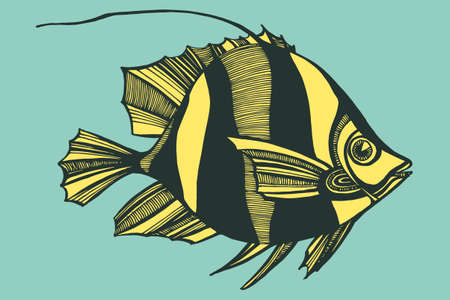 Vector illustration with hand-drawn graphic fishes, ocean, river,のイラスト素材