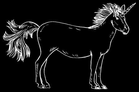 Unicorn illustrationのイラスト素材