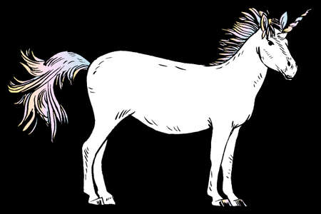 Unicorn illustrationのイラスト素材