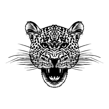 Leopard face tattoo ,Vector illustration, print