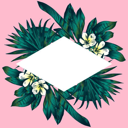 Exotic flowers set. Botanical vector vintage illustration.のイラスト素材