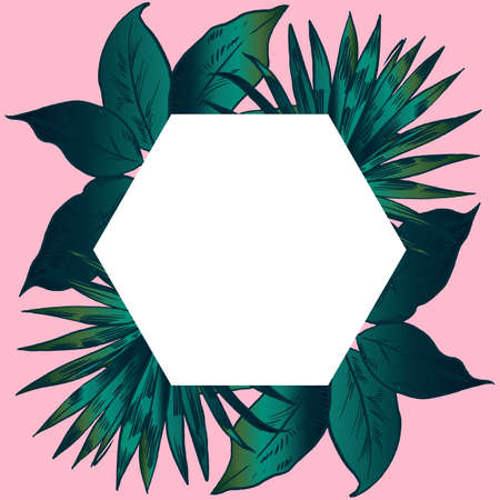 Exotic flowers set. Botanical vector vintage illustration.のイラスト素材