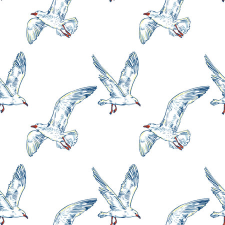 Gull flight bird and seabird . Sea. Seamless patternのイラスト素材