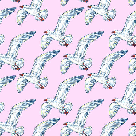 Gull flight bird and seabird, seamless patternの写真素材