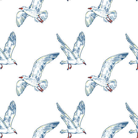 Gull flight bird and seabird, seamless patternの写真素材