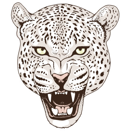 Leopard face tattoo ,Vector illustration, printのイラスト素材