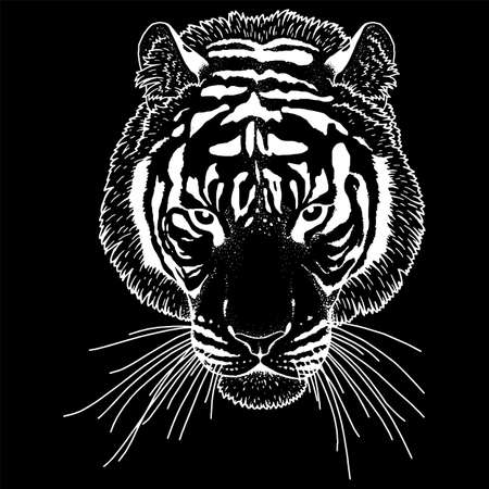 Tiger Head Illustration Vectorのイラスト素材