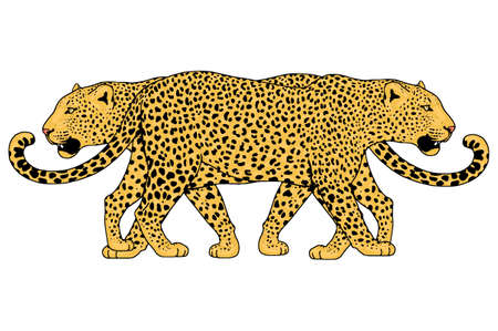 Leopard face tattoo ,Vector illustration, print fashionのイラスト素材