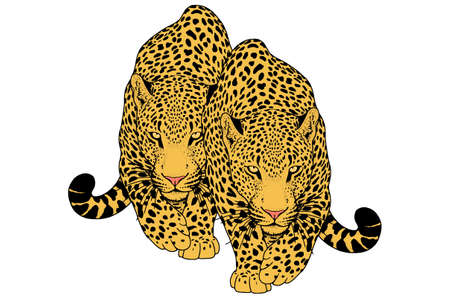 Leopard face tattoo ,Vector illustration, print fashionのイラスト素材