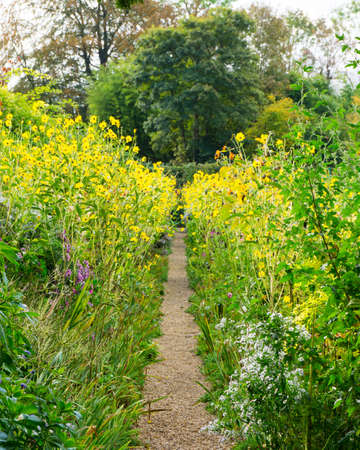 gardens near French castle, flowersの写真素材