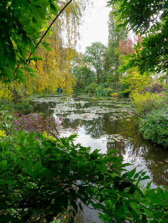 summer lake with water-lily flowers on blue waterの写真素材