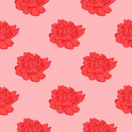 Hand-drawing peonies. Vector graphic flowers. Decorative background for cards, invitations. Template greeting card.のイラスト素材