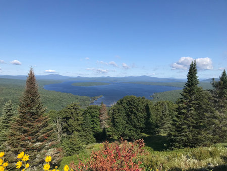 Nature in Main Stateの写真素材