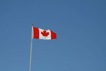 The Canadian Flag,  Maple Leaf  blowing in the wind, framed against an overcast blue skyの写真素材