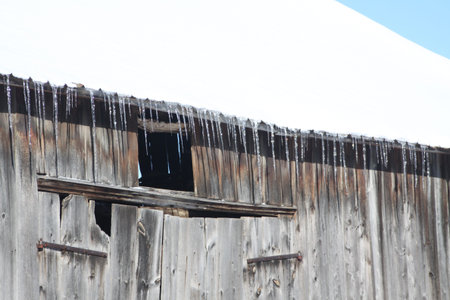 Icicles hanging from overhang on a old wooden barn の写真素材