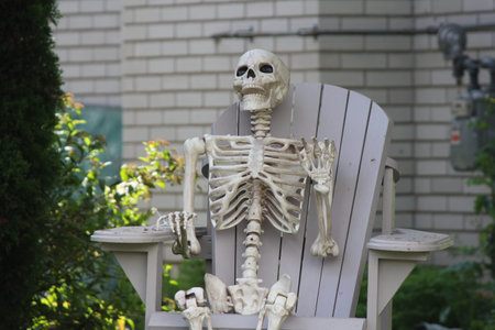 A decorative skeleton of a human, sitting in a yard chair, in preparation for Halloween.