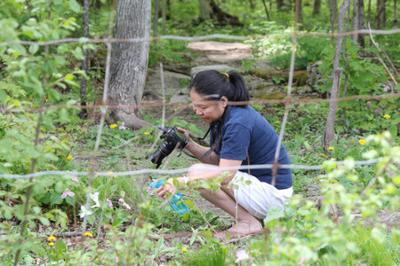 A mature woman taking photos of flowers in a forested area.