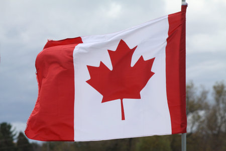 Flag of Canada gently waving in a light breeze against cloudy, overcast sky.