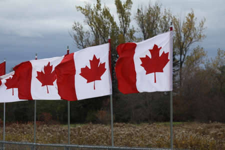 Canadian flags, attached to fence posts, gently waving in a light breeze against clouds and blue sky.の写真素材