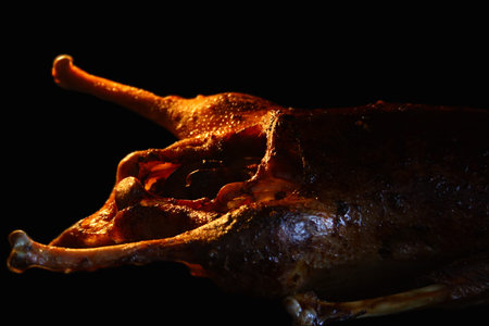 baked googe with goldish skin isolated on blackの写真素材