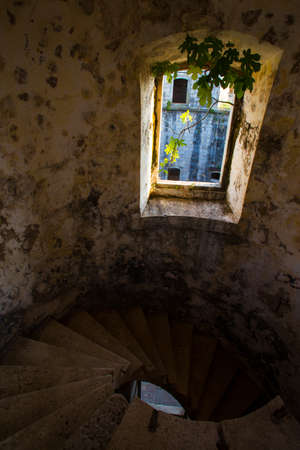 stairways in old castle with ivy on a windowのeditorial素材