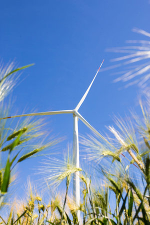 Wind generators installed on agricultural fields. A harmonious combination of technology and natural resources.の写真素材