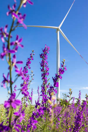 A wind generator in a flowering meadow at clear sunny day with blue sky.の写真素材