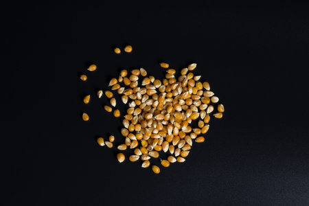 Raw seeds of popcorn close up,  on black background.の写真素材