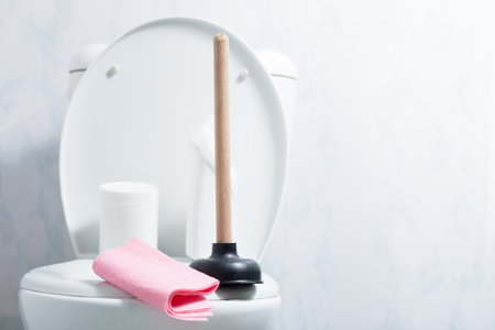 Suction cup with cleaning detergent on toilet bowl with copy space.