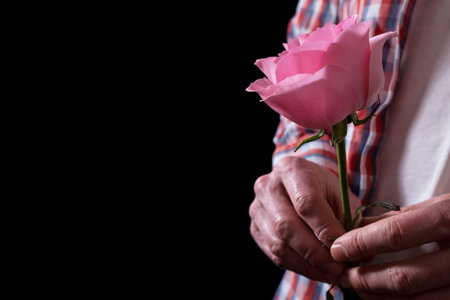 Male hands holding pink rose isolated on black with copy space.の写真素材