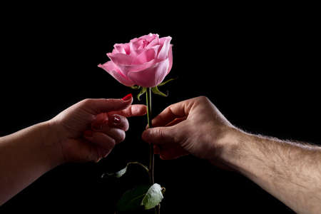 Man's hand giving a pink ros eto a woman, isolated on black. First dating with flowers.の写真素材