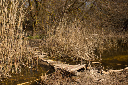 Decorative wooden footbridge over a stream in the forest, during a sunny day. over a stream in the forest, during a sunny day.の写真素材