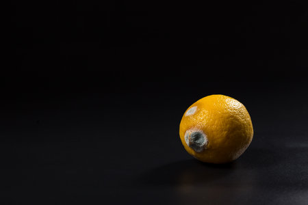 Moldy yellow lemon on black background with copy space.の写真素材