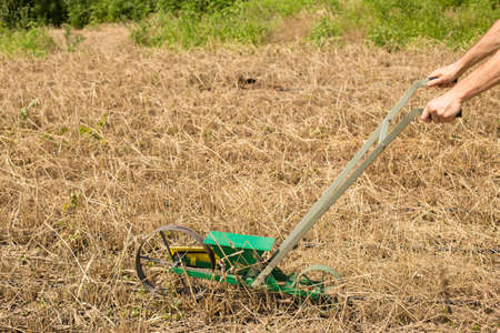 Sowing crops with manual seeder on risky agricultural zone.の写真素材
