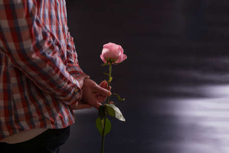 Male hands holding pink rose behind the back on black background with copy space.の写真素材