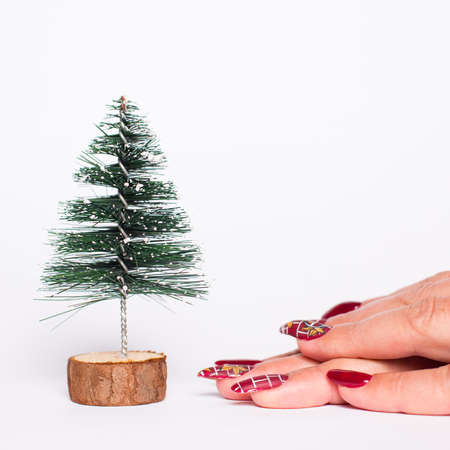 Hands with manicure close up, under little christmas tree, on a white background.の写真素材