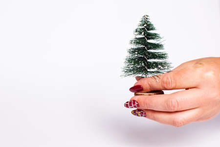Female hand holding little artifishial christmas tree on a white background with copy space.の写真素材