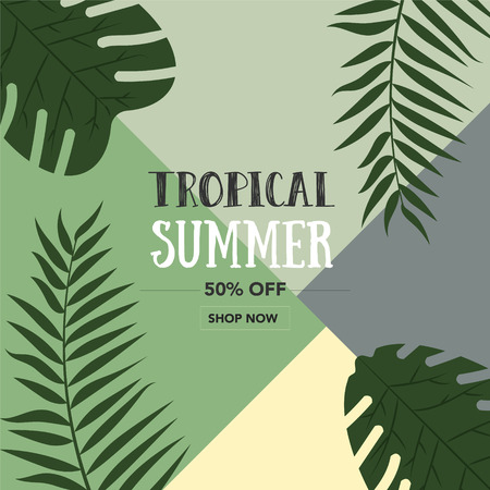 Beautiful Palm Leaf Tropical Bright Background. Minimal fashion summer conceptのイラスト素材
