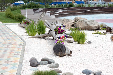 Summer Flower Bed With Petuniasの写真素材